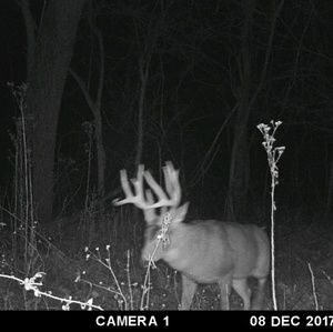 Meet your Posher, Adam